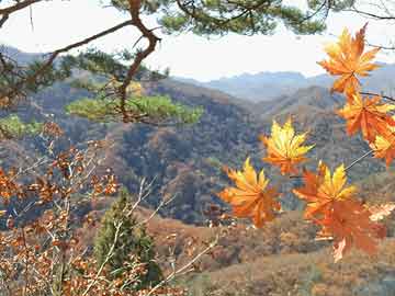 蛇年限定款美甲接力，蛇年限定美甲接力风潮